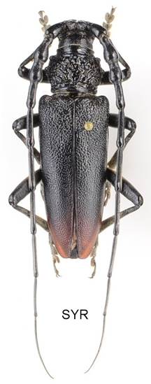 1 EAA_8380  xx.jpg