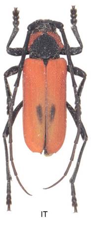 00 05,aafb  IT.JPG