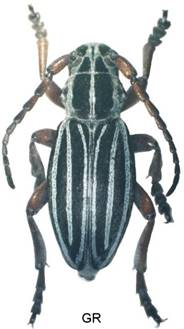2EAA_6615AB.jpg