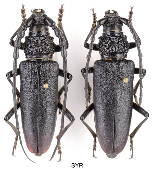 001 EAA_8360 pro tisk xx.jpg